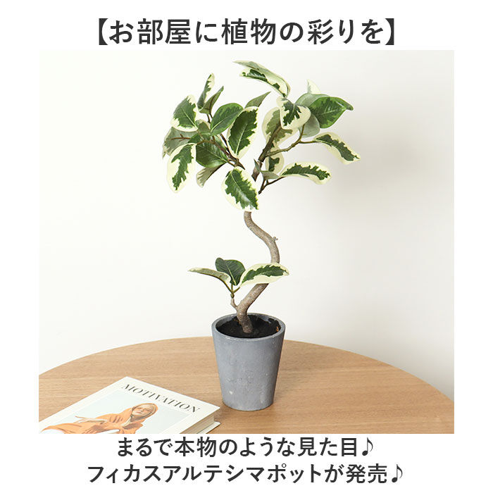 BACKYARD FAMILY「観葉植物 フェイク 大型 通販 フェイクグリーン フィカスアルテシマ アーティフィシャルグリーン」|その他|