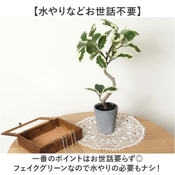 BACKYARD FAMILY「観葉植物 フェイク 大型 通販 フェイクグリーン フィカスアルテシマ アーティフィシャルグリーン」|その他|