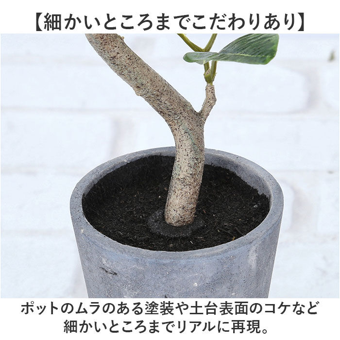 BACKYARD FAMILY「観葉植物 フェイク 大型 通販 フェイクグリーン フィカスアルテシマ アーティフィシャルグリーン」|その他|