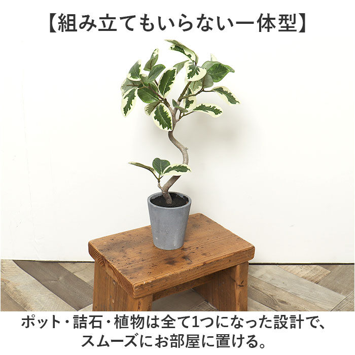 BACKYARD FAMILY「観葉植物 フェイク 大型 通販 フェイクグリーン フィカスアルテシマ アーティフィシャルグリーン」|その他|