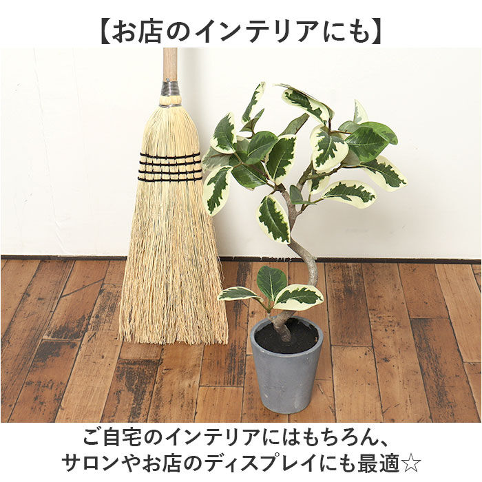 BACKYARD FAMILY「観葉植物 フェイク 大型 通販 フェイクグリーン フィカスアルテシマ アーティフィシャルグリーン」|その他|