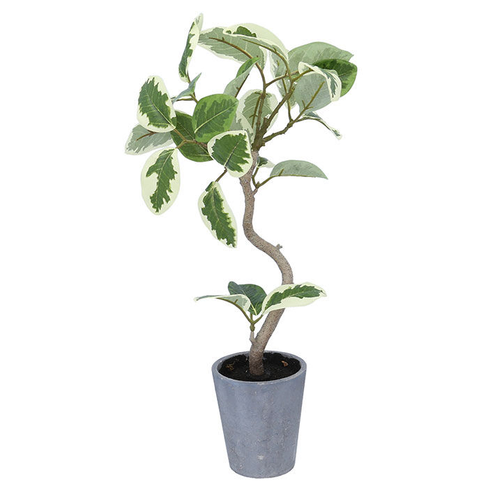 BACKYARD FAMILY「観葉植物 フェイク 大型 通販 フェイクグリーン フィカスアルテシマ アーティフィシャルグリーン」|その他|