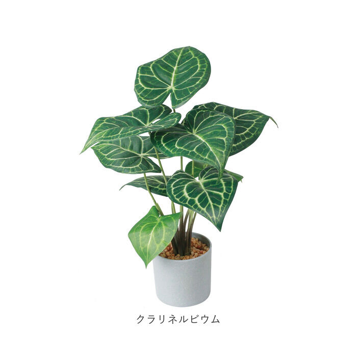 BACKYARD FAMILY「観葉植物 フェイク 大型 通販 フェイクグリーン アーティフィシャルグリーン インテリアグリーン」|その他|