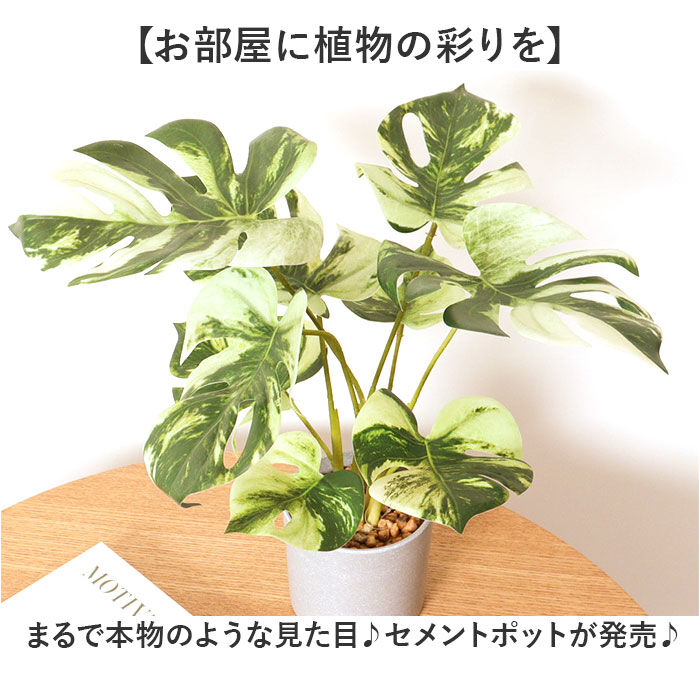 BACKYARD FAMILY「観葉植物 フェイク 大型 通販 フェイクグリーン アーティフィシャルグリーン インテリアグリーン」|その他|