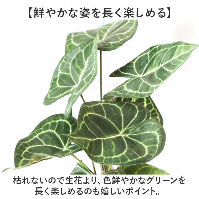 BACKYARD FAMILY「観葉植物 フェイク 大型 通販 フェイクグリーン アーティフィシャルグリーン インテリアグリーン」|その他|