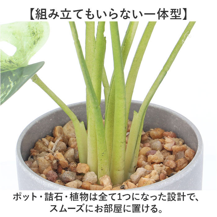 BACKYARD FAMILY「観葉植物 フェイク 大型 通販 フェイクグリーン アーティフィシャルグリーン インテリアグリーン」|その他|