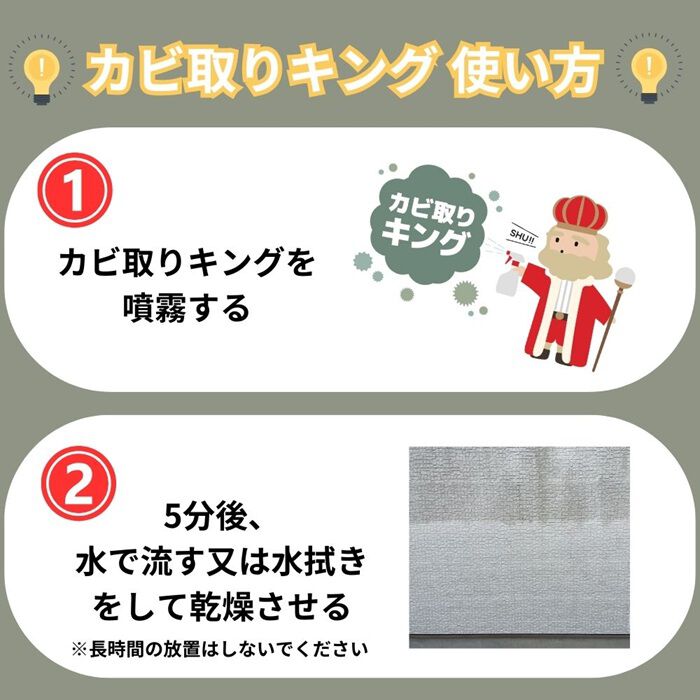 BACKYARD FAMILY「カビ取りキング 通販 カビ取り剤 かび取り剤 カビ取り スプレー お風呂 浴室 洗面台 トイレ」|その他|