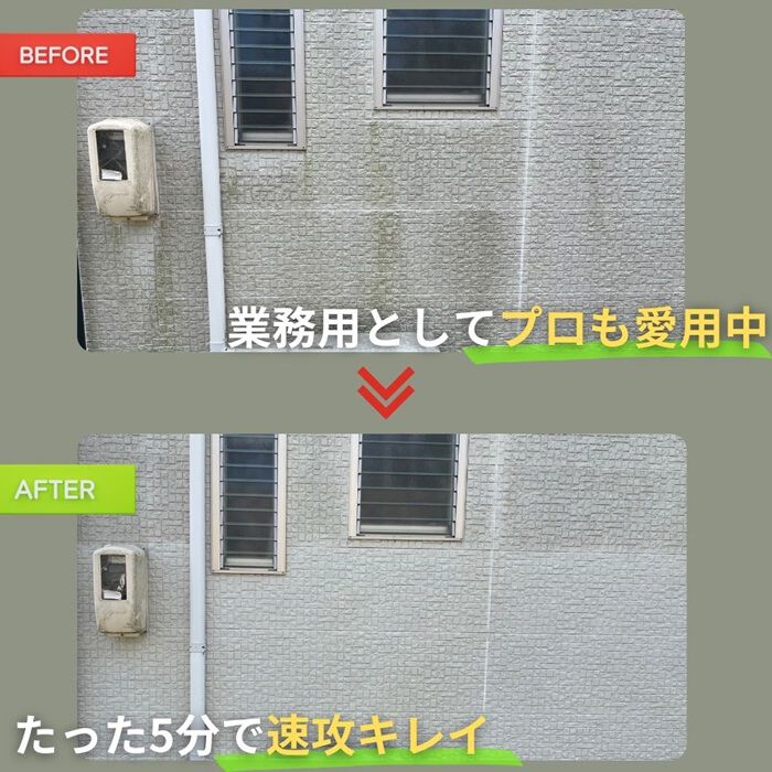 BACKYARD FAMILY「カビ取りキング 通販 カビ取り剤 かび取り剤 カビ取り スプレー お風呂 浴室 洗面台 トイレ」|その他|