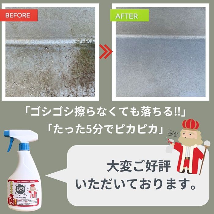 BACKYARD FAMILY「カビ取りキング 通販 カビ取り剤 かび取り剤 カビ取り スプレー お風呂 浴室 洗面台 トイレ」|その他|