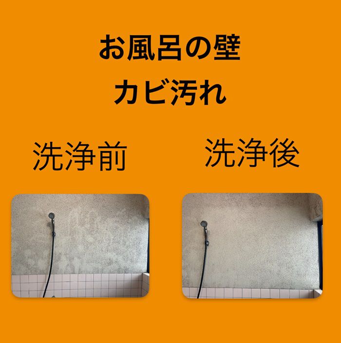 BACKYARD FAMILY「カビ取りキング 通販 カビ取り剤 かび取り剤 カビ取り スプレー お風呂 浴室 洗面台 トイレ」|その他|
