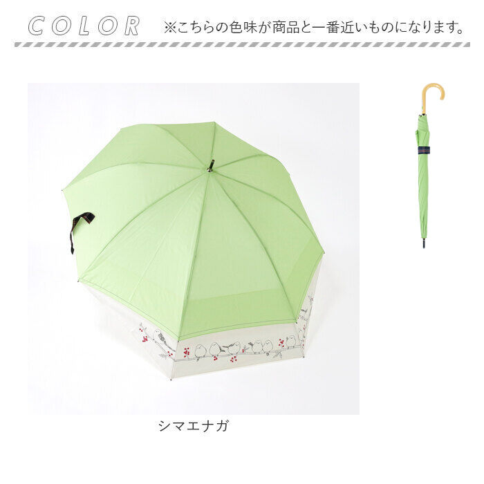BACKYARD FAMILY「傘 レディース ジャンプ 通販 バックスライド 長傘 ジャンプ傘 雨傘 かさ 60cm 8本骨」|傘|
