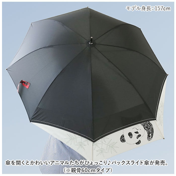 BACKYARD FAMILY「傘 レディース ジャンプ 通販 バックスライド 長傘 ジャンプ傘 雨傘 かさ 60cm 8本骨」|傘|