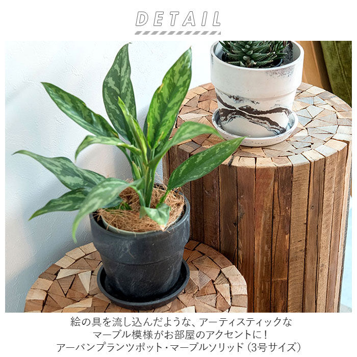 BACKYARD FAMILY「植木鉢 プラスチック お洒落 3号 通販 プランター おしゃれ 植木 鉢 ポット 花鉢 3号鉢」|その他|