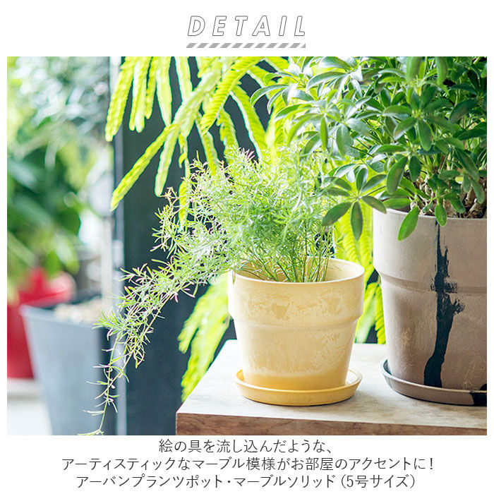 BACKYARD FAMILY「植木鉢 プラスチック お洒落 5号 通販 プランター おしゃれ 植木 鉢 ポット 花鉢 5号鉢」|その他|