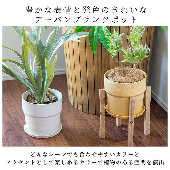BACKYARD FAMILY「植木鉢 プラスチック お洒落 5号 通販 プランター おしゃれ 植木 鉢 ポット 花鉢 5号鉢」|その他|