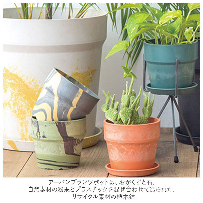 BACKYARD FAMILY「植木鉢 プラスチック お洒落 5号 通販 プランター おしゃれ 植木 鉢 ポット 花鉢 5号鉢」|その他|