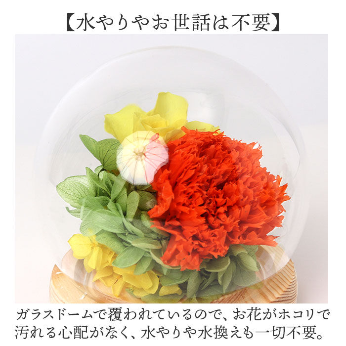 BACKYARD FAMILY「ガラスドーム インテリア アレンジメント 通販 フラワーアレンジメント プリザーブドフラワー」|その他|