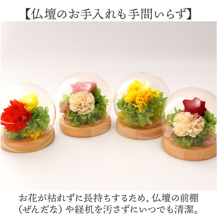 BACKYARD FAMILY「ガラスドーム インテリア アレンジメント 通販 フラワーアレンジメント プリザーブドフラワー」|その他|
