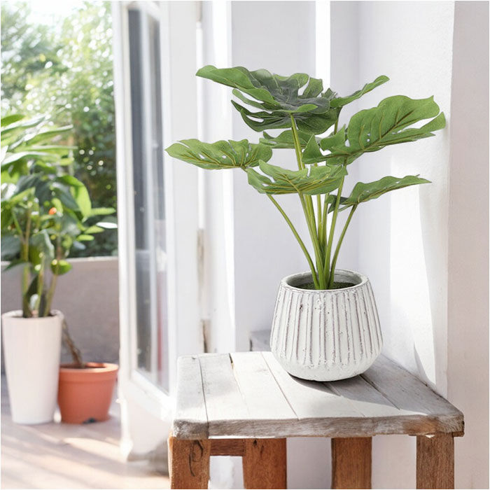BACKYARD FAMILY「光触媒 人工観葉植物 通販 フェイクグリーン インテリアグリーン イミテーショングリーン」|その他|