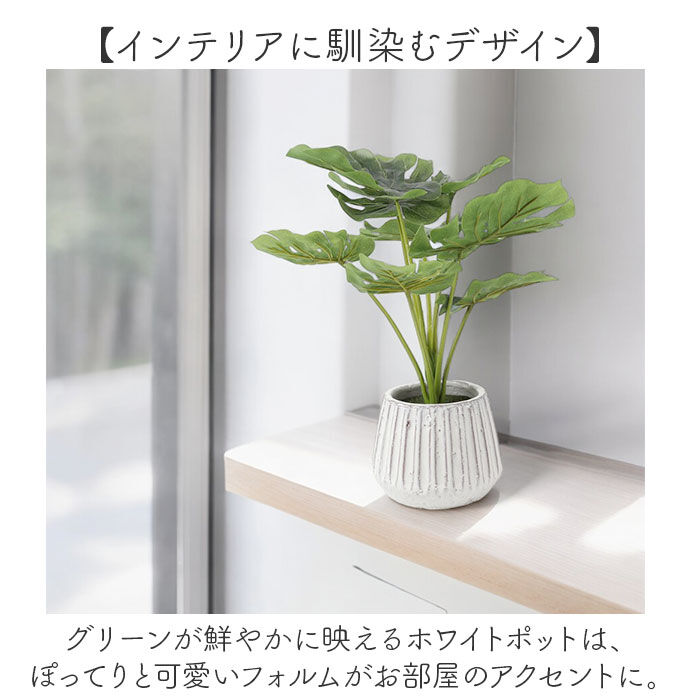 BACKYARD FAMILY「光触媒 人工観葉植物 通販 フェイクグリーン インテリアグリーン イミテーショングリーン」|その他|