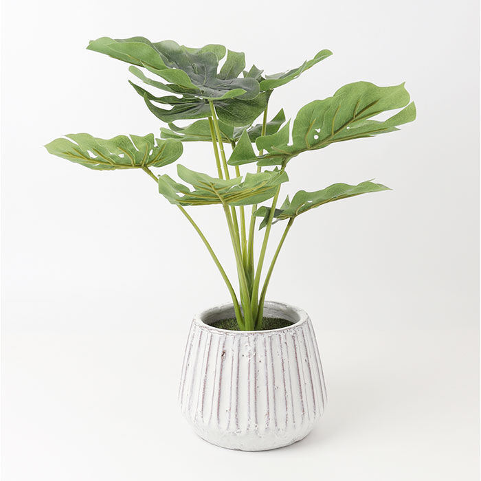 BACKYARD FAMILY「光触媒 人工観葉植物 通販 フェイクグリーン インテリアグリーン イミテーショングリーン」|その他|