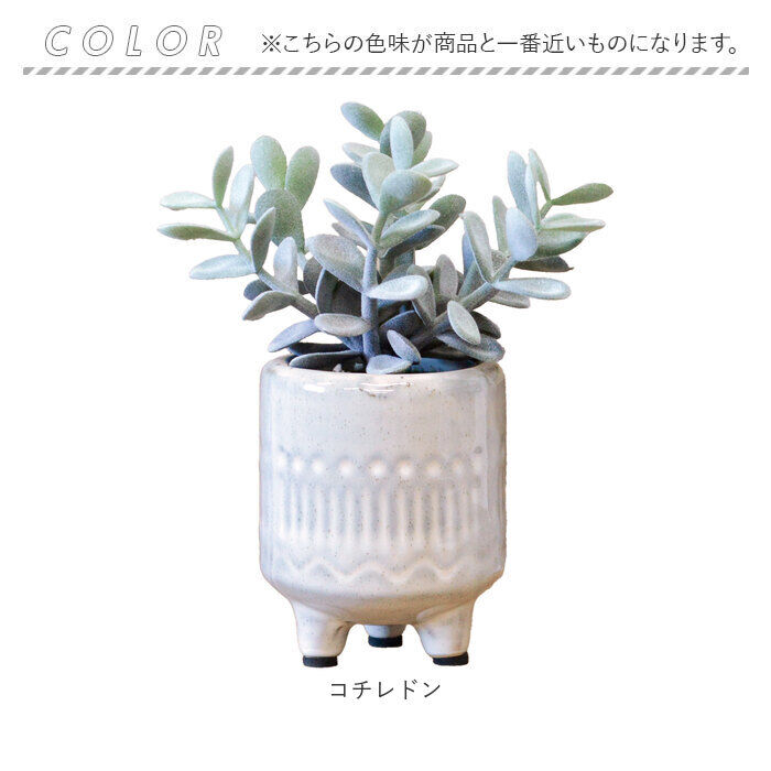 BACKYARD FAMILY「光触媒 フェイクグリーン 通販 インテリアグリーン 人工観葉植物 イミテーショングリーン 植物」|その他|