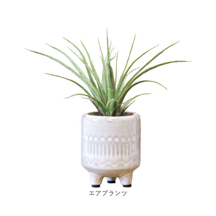 BACKYARD FAMILY「光触媒 フェイクグリーン 通販 インテリアグリーン 人工観葉植物 イミテーショングリーン 植物」|その他|