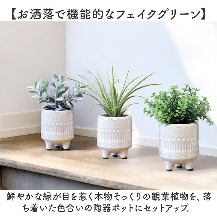 BACKYARD FAMILY「光触媒 フェイクグリーン 通販 インテリアグリーン 人工観葉植物 イミテーショングリーン 植物」|その他|
