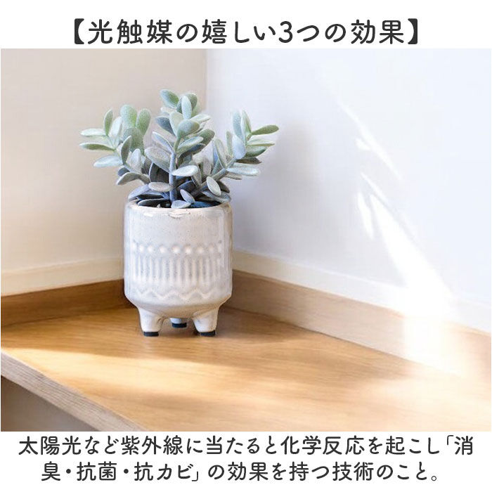 BACKYARD FAMILY「光触媒 フェイクグリーン 通販 インテリアグリーン 人工観葉植物 イミテーショングリーン 植物」|その他|