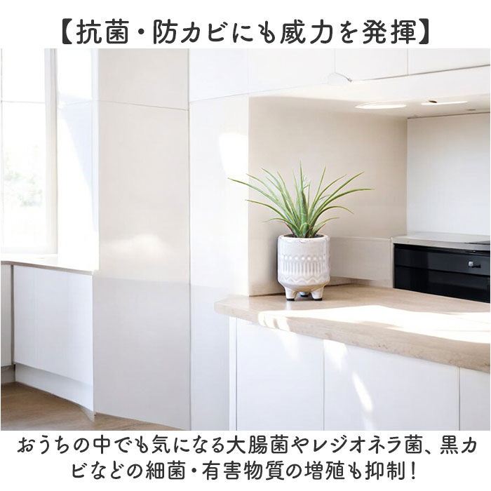 BACKYARD FAMILY「光触媒 フェイクグリーン 通販 インテリアグリーン 人工観葉植物 イミテーショングリーン 植物」|その他|