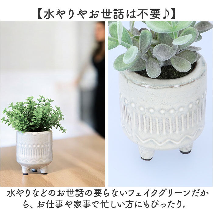 BACKYARD FAMILY「光触媒 フェイクグリーン 通販 インテリアグリーン 人工観葉植物 イミテーショングリーン 植物」|その他|