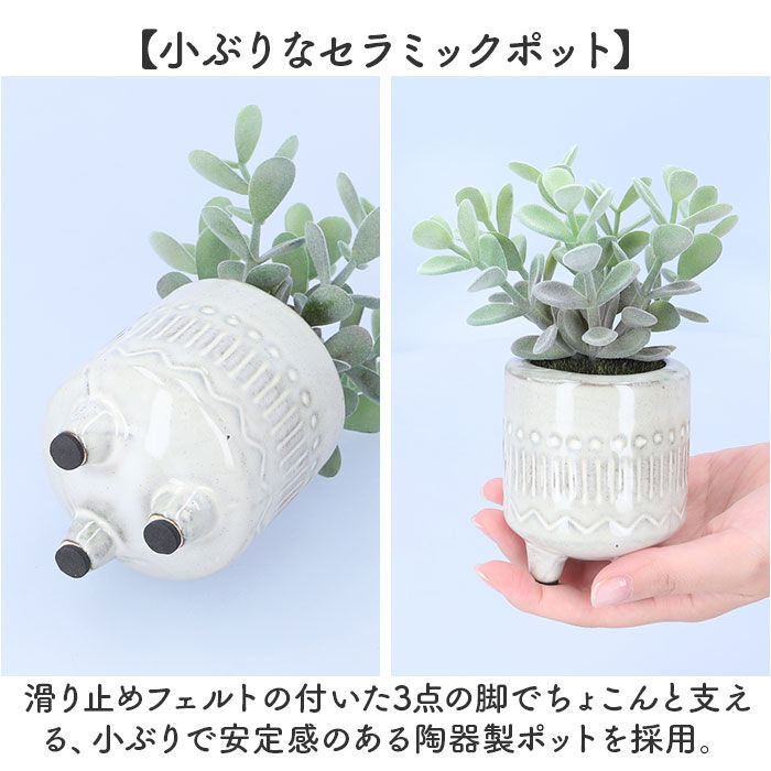 BACKYARD FAMILY「光触媒 フェイクグリーン 通販 インテリアグリーン 人工観葉植物 イミテーショングリーン 植物」|その他|