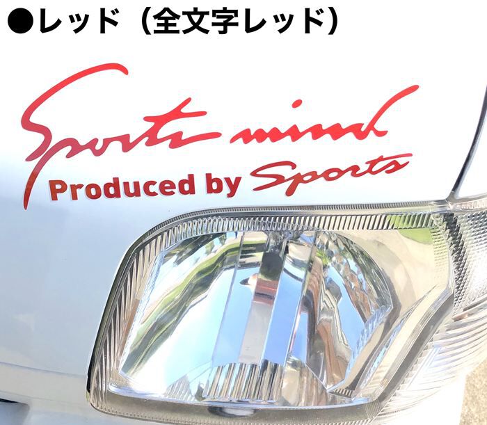 BACKYARD FAMILY「車 ステッカー おしゃれ 通販 LLサイズ 約11&times;35cm 車に貼るステッカー」|その他|