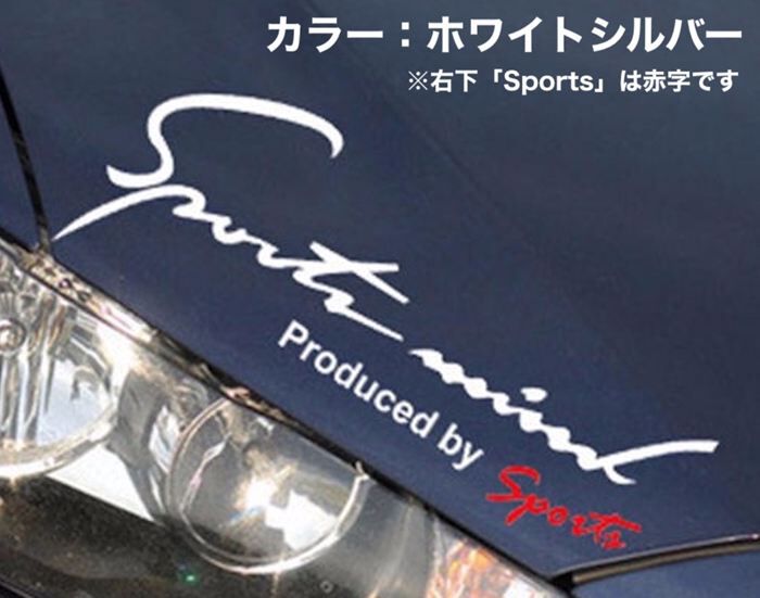 BACKYARD FAMILY「車 ステッカー おしゃれ 通販 SSサイズ 約4.8&times;14cm 車に貼るステッカー」|その他|
