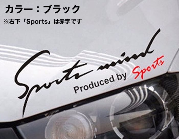 BACKYARD FAMILY「車 ステッカー おしゃれ 通販 SSサイズ 約4.8&times;14cm 車に貼るステッカー」|その他|