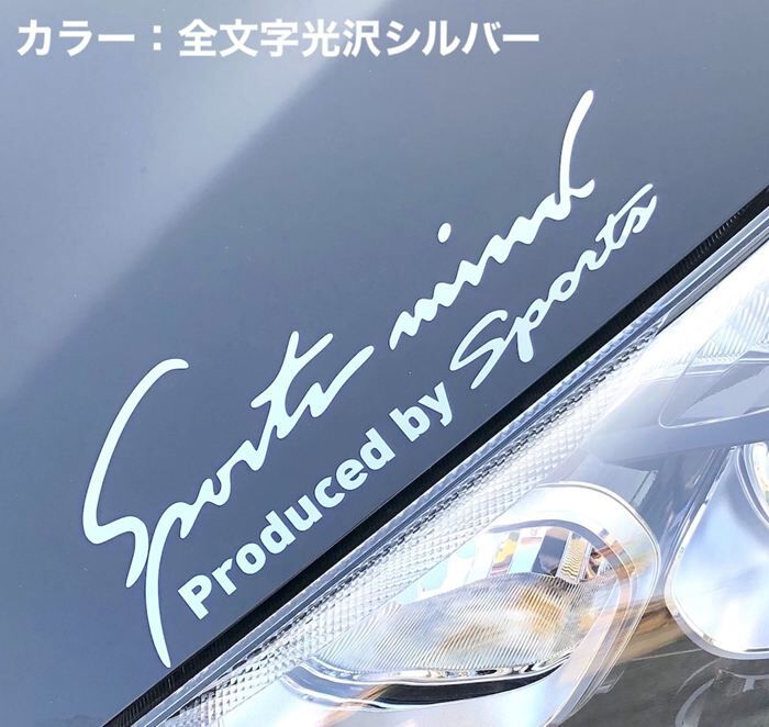 BACKYARD FAMILY「車 ステッカー おしゃれ 通販 SSサイズ 約4.8&times;14cm 車に貼るステッカー」|その他|