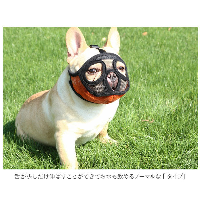BACKYARD FAMILY「口輪 犬 通販 犬用 いぬ イヌ 短頭種 2タイプ 短い鼻 マズル 犬用マズル口輪 口を開ける」|その他|