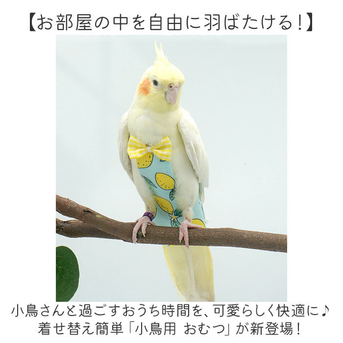 BACKYARD FAMILY「鳥用品 通販 鳥用おむつ 鳥用オムツ 布おむつ 布オムツ おしっこパッド インコ いんこ 鳥」|その他|