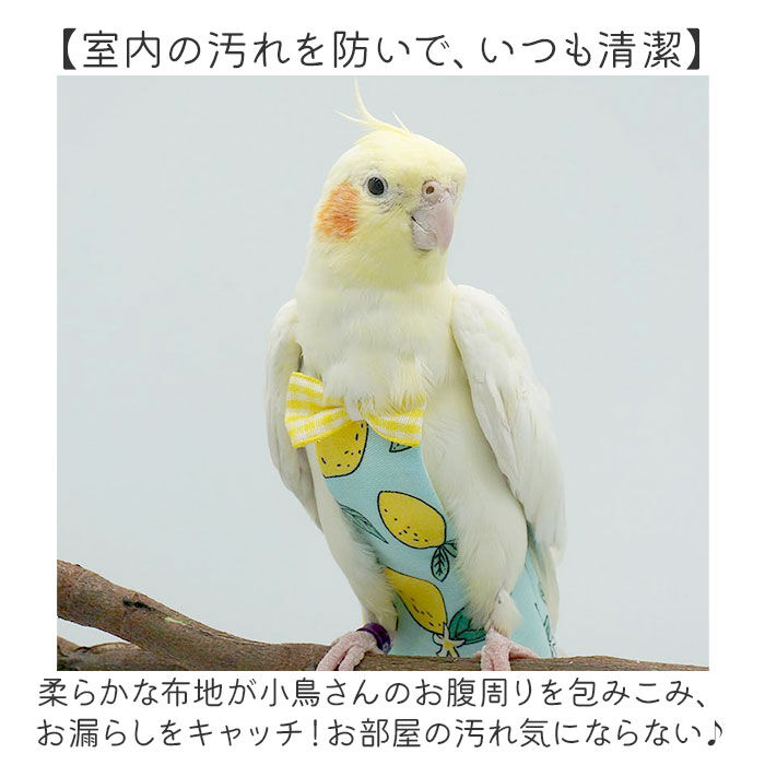 BACKYARD FAMILY「鳥用品 通販 鳥用おむつ 鳥用オムツ 布おむつ 布オムツ おしっこパッド インコ いんこ 鳥」|その他|