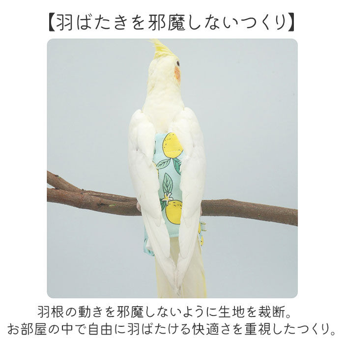 BACKYARD FAMILY「鳥用品 通販 鳥用おむつ 鳥用オムツ 布おむつ 布オムツ おしっこパッド インコ いんこ 鳥」|その他|