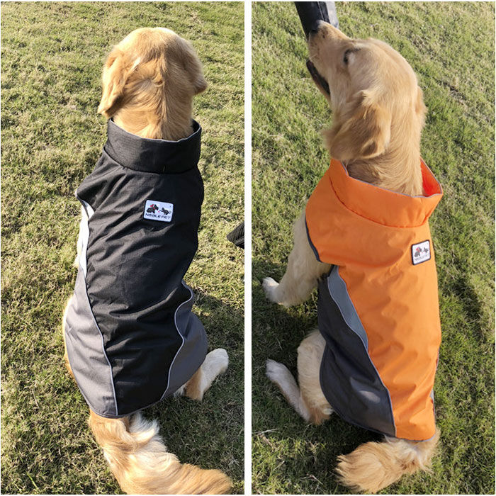 BACKYARD FAMILY「レインコート 犬用 通販 sサイズ mサイズ 犬レインコート ドッグウェア 犬のカッパ 犬服」|その他|