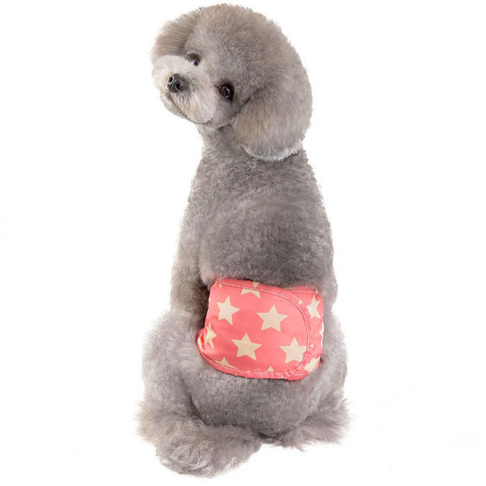 BACKYARD FAMILY「犬 マナーベルト 通販 ペット マナーパンツ パンツ マナー 犬服 ドッグウェア 犬用 しつけ」|その他|