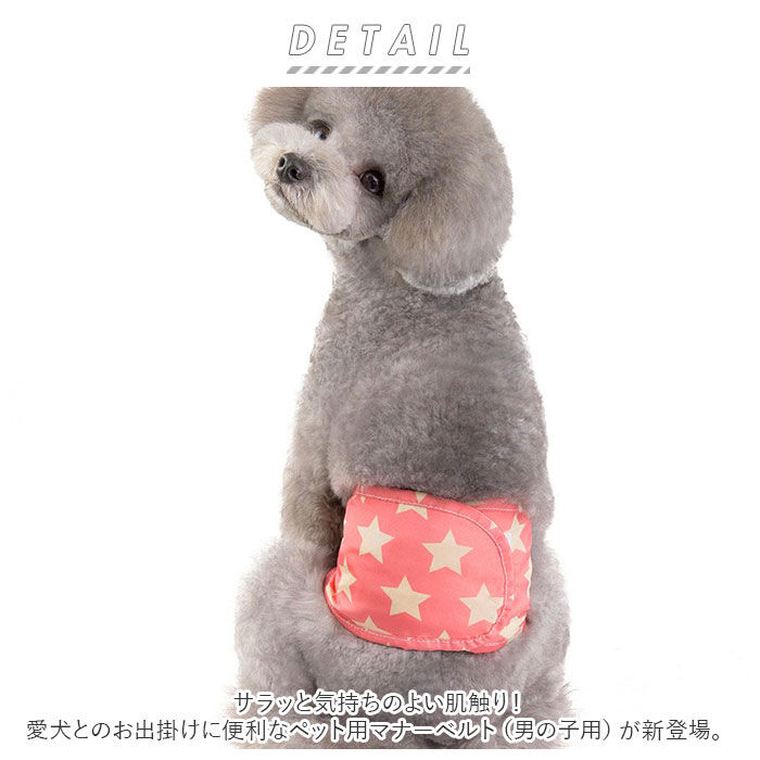 BACKYARD FAMILY「犬 マナーベルト 通販 ペット マナーパンツ パンツ マナー 犬服 ドッグウェア 犬用 しつけ」|その他|