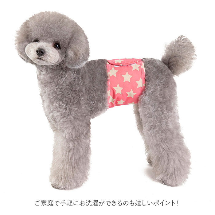 BACKYARD FAMILY「犬 マナーベルト 通販 ペット マナーパンツ パンツ マナー 犬服 ドッグウェア 犬用 しつけ」|その他|