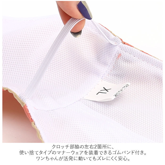 BACKYARD FAMILY「犬 マナーベルト 通販 ペット マナーパンツ パンツ マナー 犬服 ドッグウェア 犬用 しつけ」|その他|
