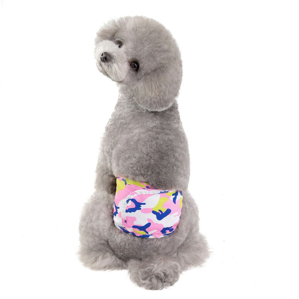 BACKYARD FAMILY「犬 マナーベルト 通販 ペット マナーパンツ パンツ マナー 犬服 ドッグウェア 犬用 しつけ」|その他|その他1