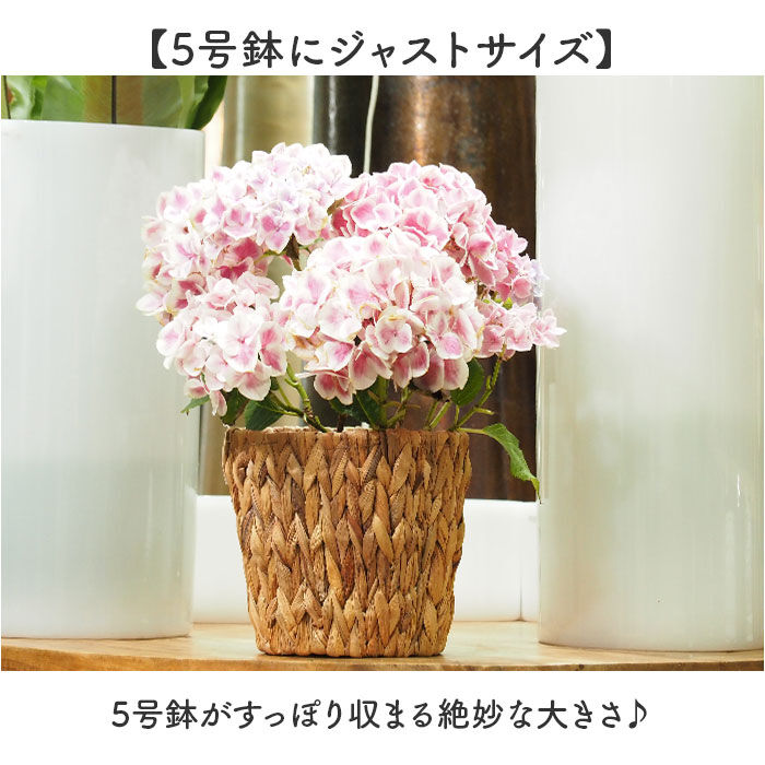 BACKYARD FAMILY「鉢カバー 5号 通販 アミアミポット5号 植木鉢カバー プランターカバー 5号鉢 花 ホワイエ」|その他|