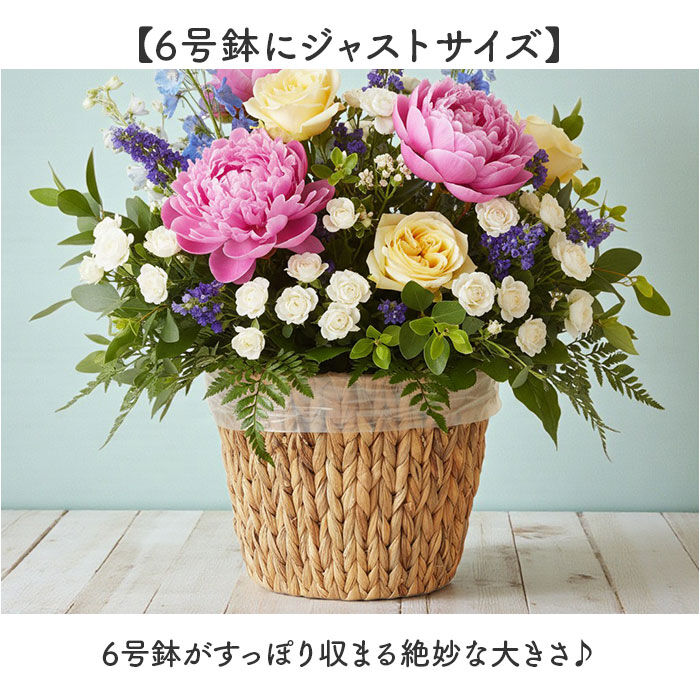 BACKYARD FAMILY「鉢カバー 6号 通販 アミアミポット6号 植木鉢カバー プランターカバー 6号鉢 花 ホワイエ」|その他|