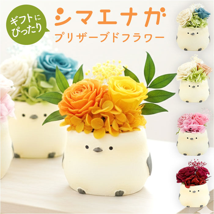 BACKYARD FAMILY「プリザーブドフラワー シマエナガ 通販 ブリザーブドフラワー フラワーギフト 花 鳥」|その他|