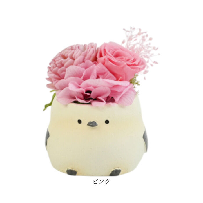 BACKYARD FAMILY「プリザーブドフラワー シマエナガ 通販 ブリザーブドフラワー フラワーギフト 花 鳥」|その他|